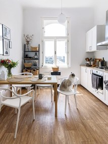 Zestaw 2 białych krzeseł Bonami Selection Dali Chaur