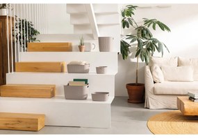 Plastikowy koszyk do przechowywania 38x29x14 cm Softex – Curver