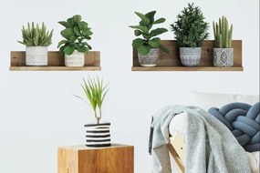 Naklejka na ścianę 60x35 cm 3D effect Green Plants – Ambiance