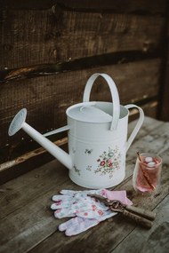 Szklanka z podwójną ścianką Vialli Design Amo, 400 ml