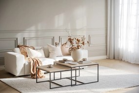 Jasnoszary dywan wełniany 340x240 cm Auckland – Rowico