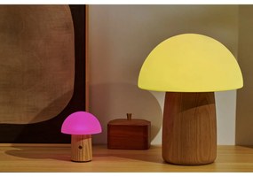 Naturalna lampa stołowa ze ściemniaczem i szklanym kloszem (wys. 32 cm) Alice – Gingko