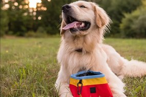 Tekstylna składana miska podróżna ø 18 cm Sunrise – P.L.A.Y.