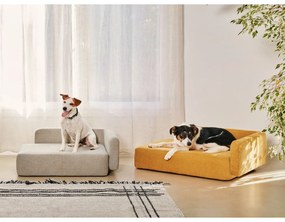 Jasnobrązowy dywan wełniany 160x230 cm Eneo – Kave Home
