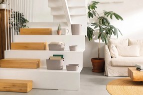 Plastikowy koszyk do przechowywania 38x29x22 cm Softex – Curver