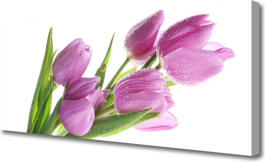 Obraz canvas Pastelowe Tulipany w Ogrodzie