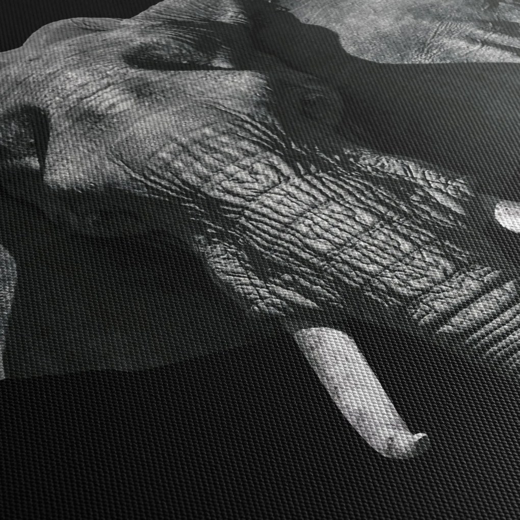 Obraz - Słoń na czarnym tle (170x50 cm)