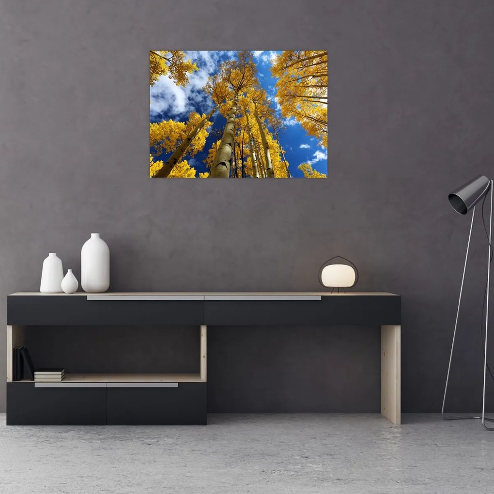 Obraz - Aspen (70x50 cm)