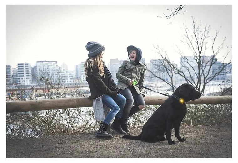 Lampka LED na obrożę Green – Orbiloc