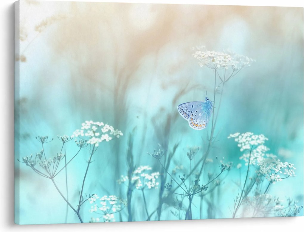 Obraz - Motyl w niebieskim (70x50 cm)