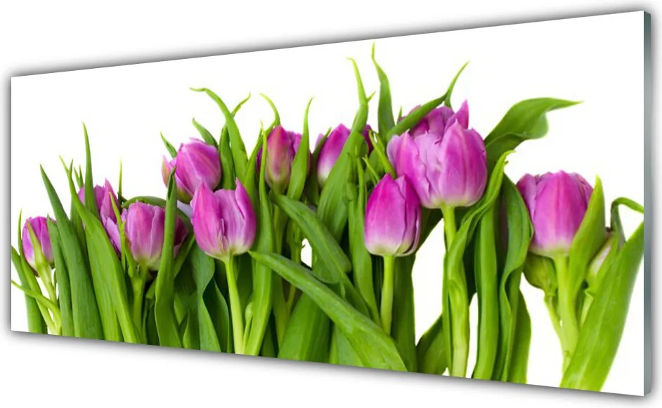 Panel nad blat kuchenny Tęczowe Pole Tulipanów