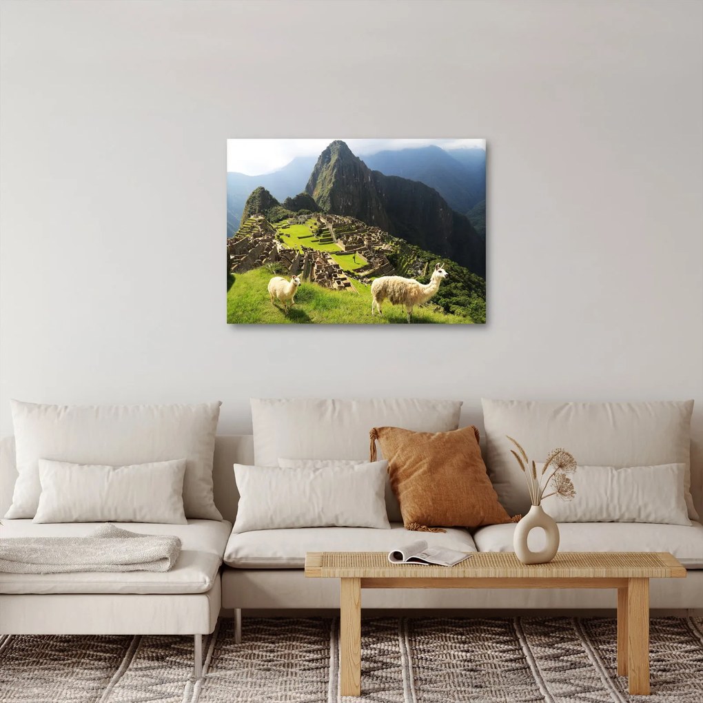 Obraz - Machu Picchu (70x50 cm)
