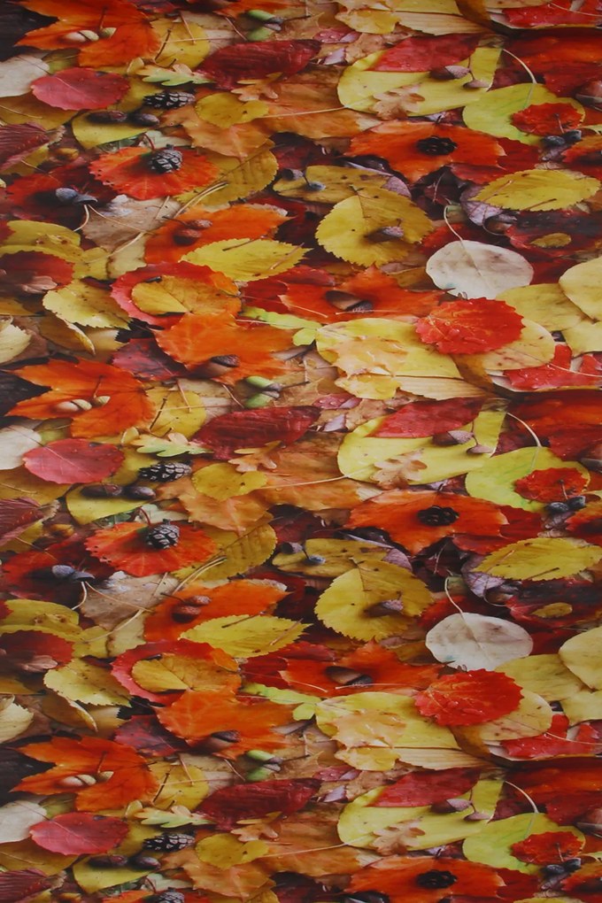 Dywan Chodnik Winylowy Moma Jesienny Dywan 052x100 Chodnik