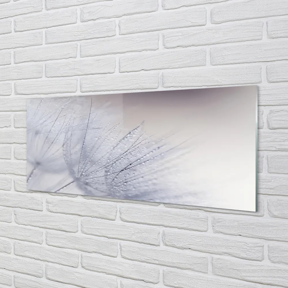 Panel nad Blat Kuchenny Dmuchawce w Porannej Rosie