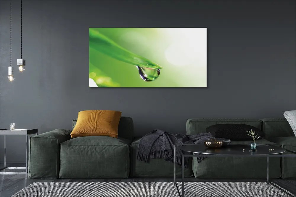 Obraz drukowany na płótnie Słoneczna Kropla na Liściu