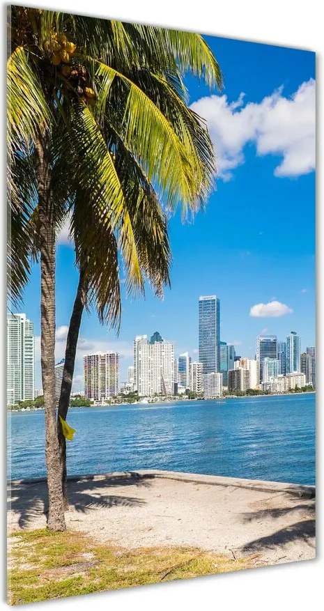 Foto obraz szkło akryl pionowy Miami
