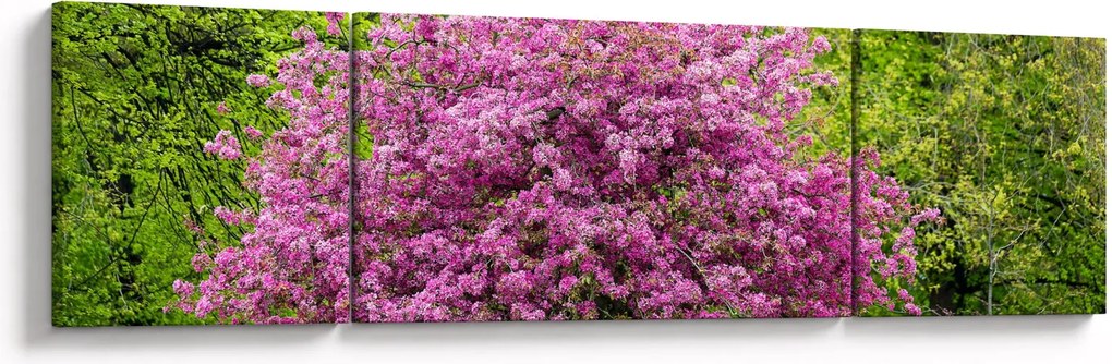 Obraz kwitnącego drzewa na łące (170x50 cm)