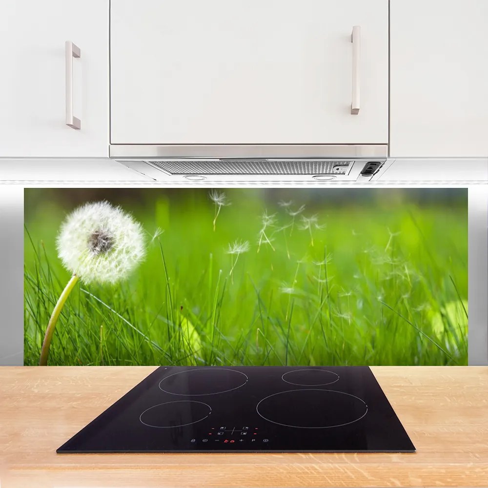 Szkło do Kuchni na Ścianę Lekkość Lata: Dmuchawiec