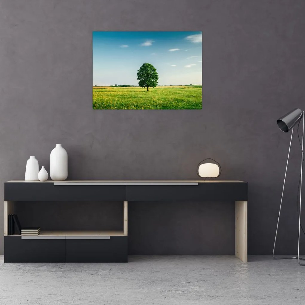 Obraz na szkle drzewa na środku łąki (70x50 cm)