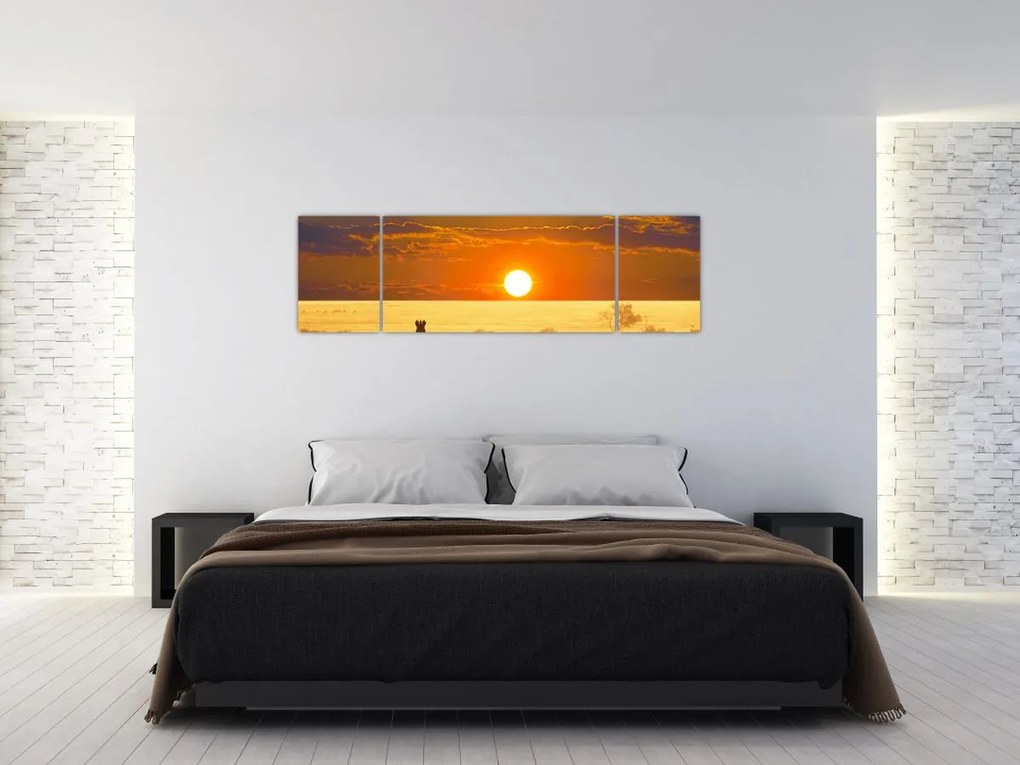 Obraz - Zebry z zachodem słońca (170x50 cm)