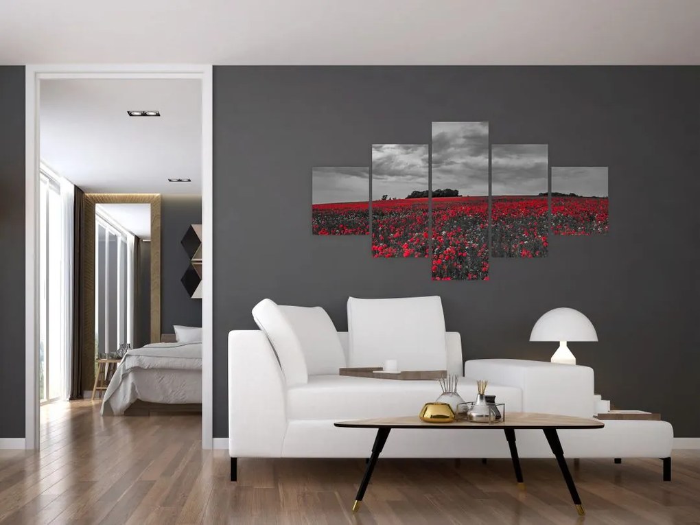 Obraz maków (125x70 cm)