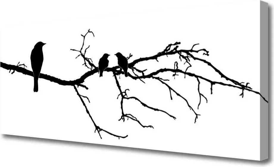 Obraz drukowany na płótnie Śpiew Ptaków na Gałęzi