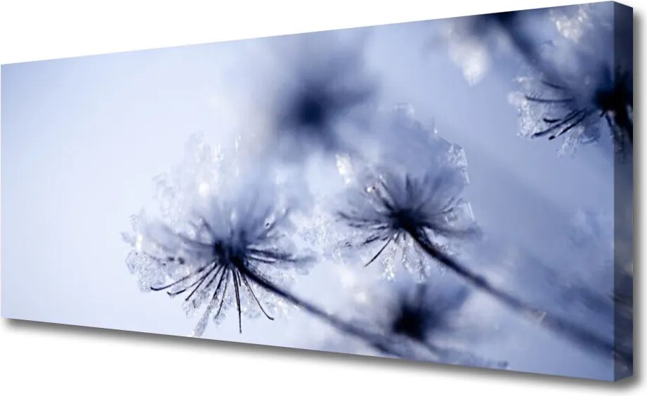 Obraz canvas Ulotny Dmuchawiec na Wietrze