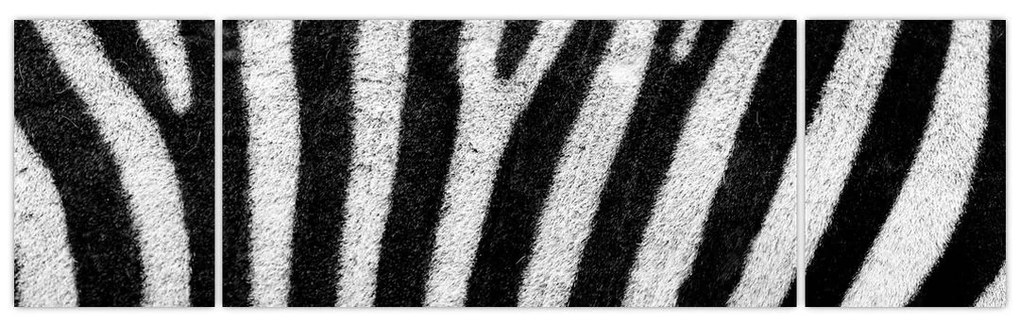 Obraz skóry zebry (170x50 cm)