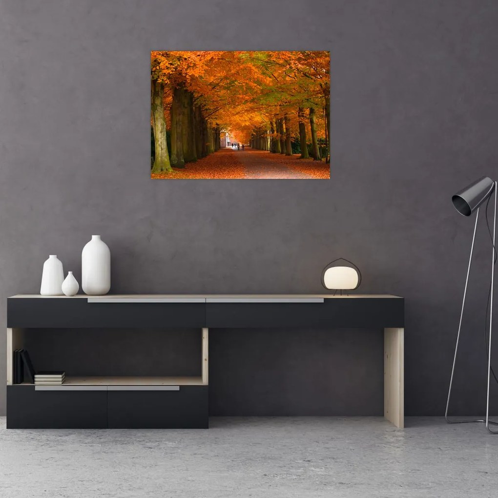 Obraz - Aleja drzew jesienią (70x50 cm)
