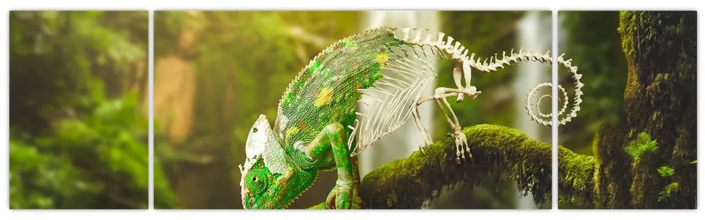 Obraz kameleona (170x50 cm)