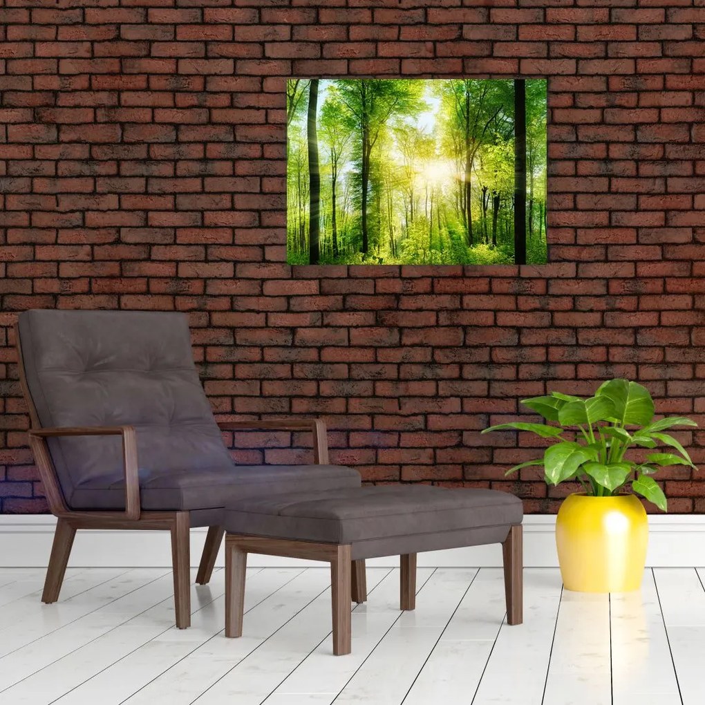Obraz - Świt w lesie (70x50 cm)
