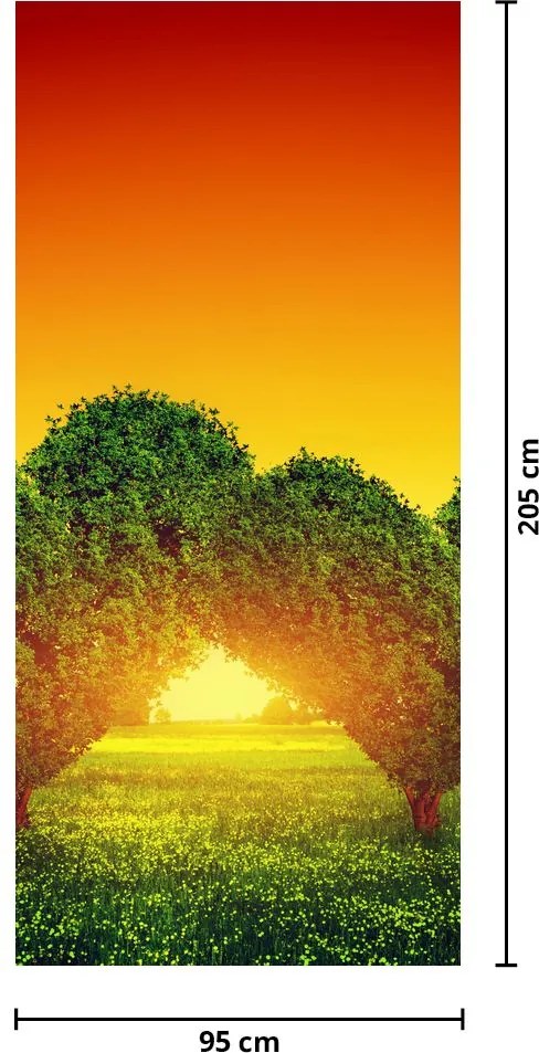 Fototapeta na drzwi - Serce w koronach drzew (95x205cm)