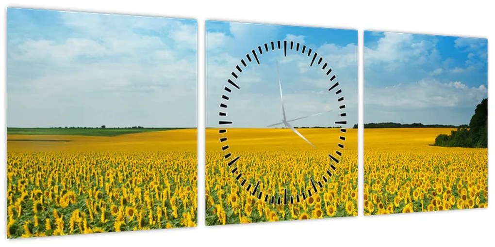 Obraz - ciąg słoneczników (z zegarem) (90x30 cm)