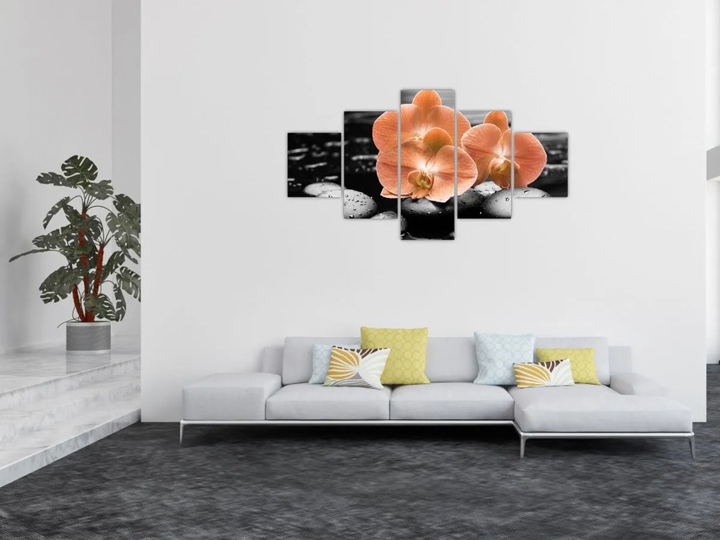 Obraz - Pomarańczowe orchidee (125x70 cm)