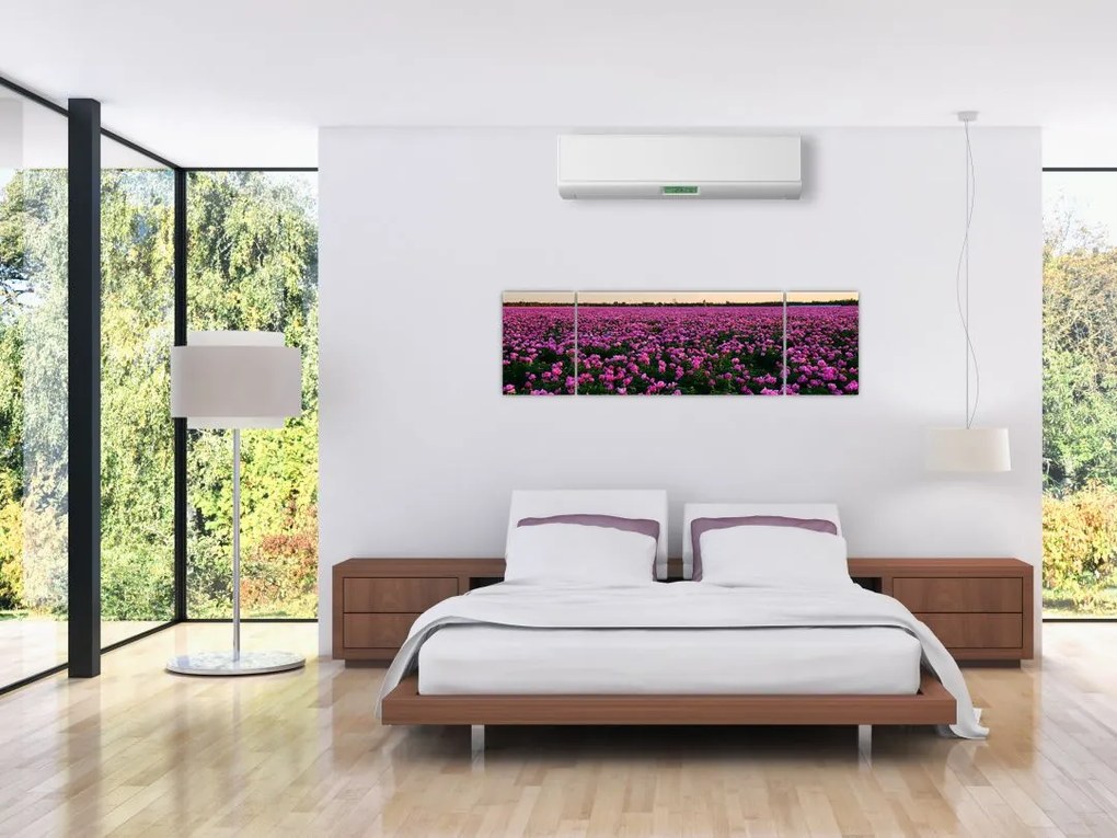 Obraz - Łąka fioletowych tulipanów (170x50 cm)