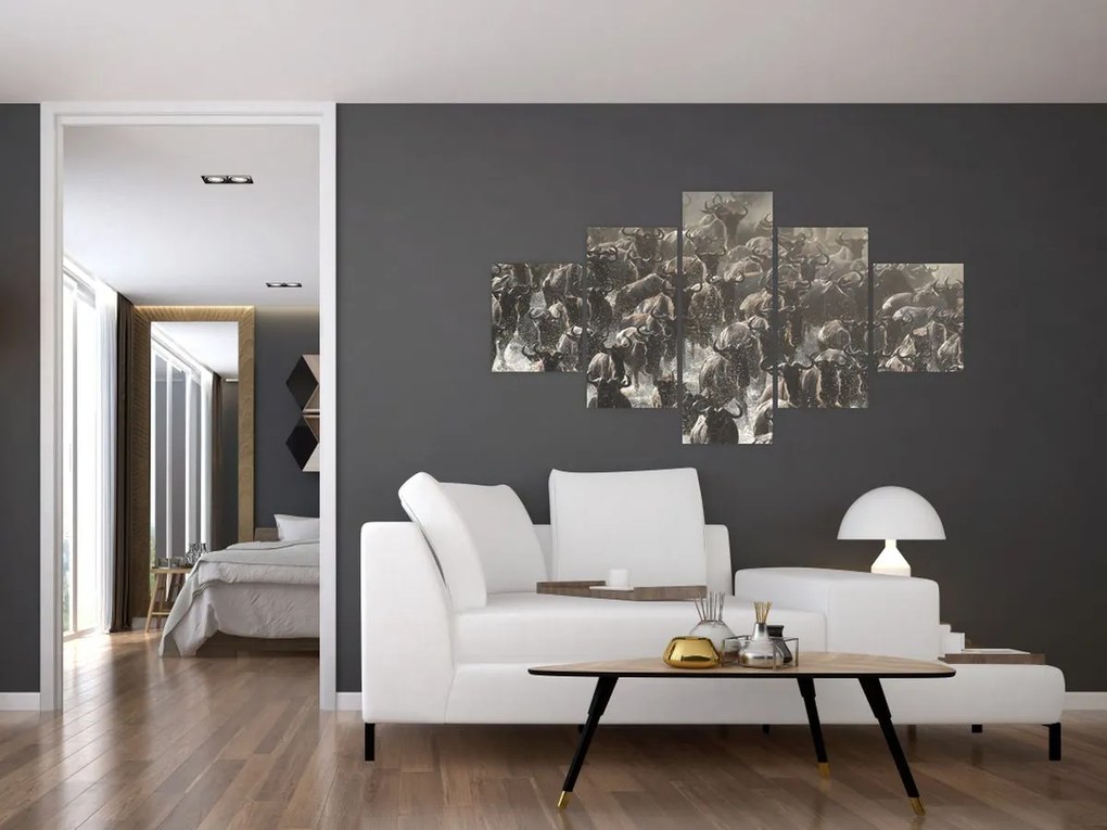 Obraz - Stado antylop gnu (125x70 cm)