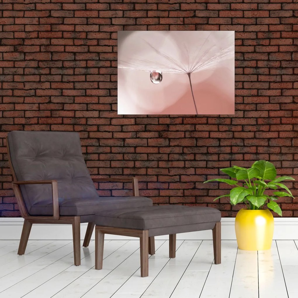 Obraz - Kropla rosy (70x50 cm)