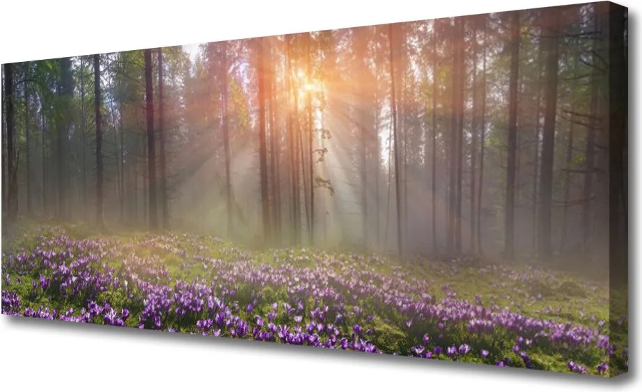 Obraz na płótnie Leśny Ogród w Rozkwicie