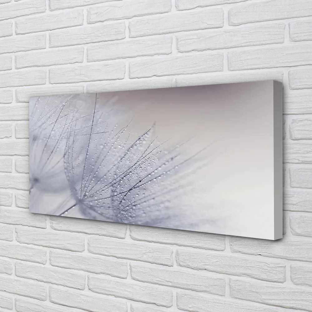 Duży obraz na płótnie Dmuchawce w Porannej Rosie