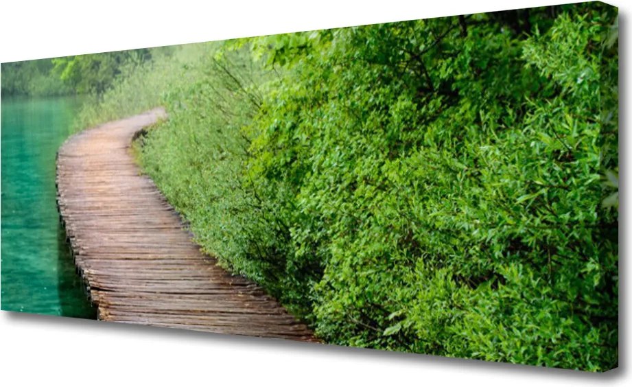 Obraz canvas Drewniany Mostek w Lesie