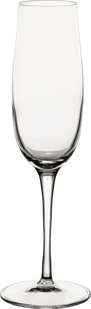 Kieliszki do szamapna Plzazzo 6szt. 235ml