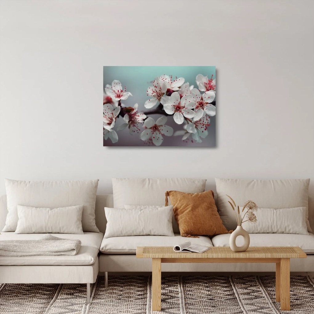 Obraz na szkle - kwiat - czerwony (70x50 cm)