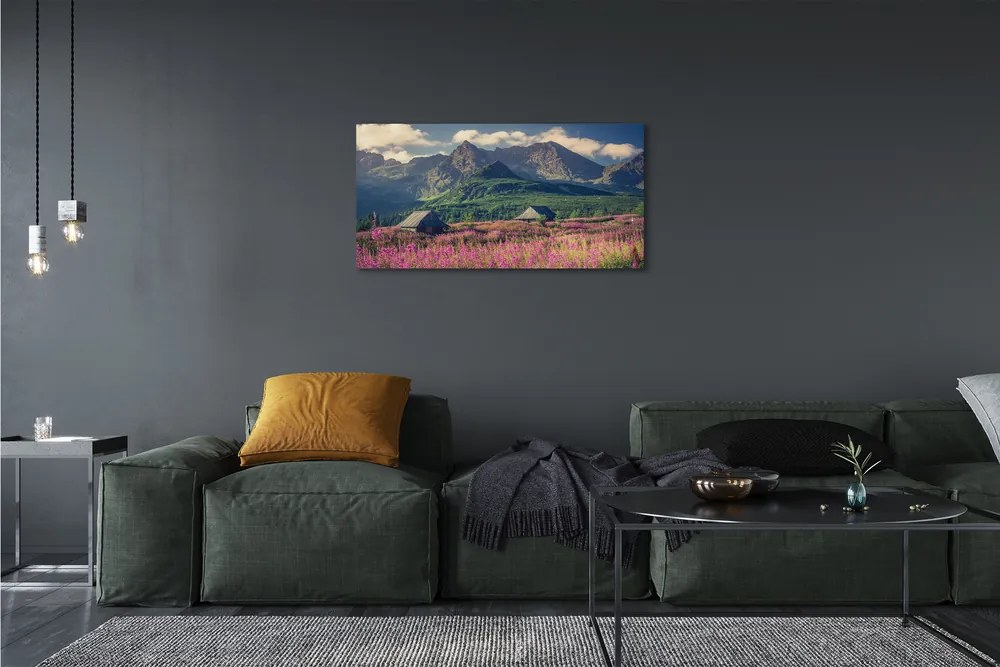 Obraz drukowany na płótnie Góry, Pola i Domki