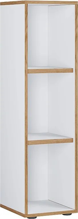 Półki Książki Folder Plik Shelf Salia 3f