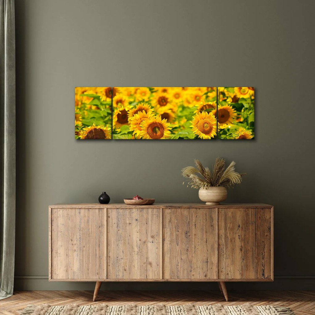 Obraz - Słoneczniki (170x50 cm)