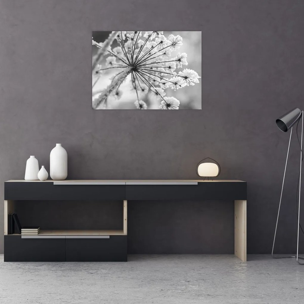 Obraz na szkle - Kwiat w zimie (70x50 cm)