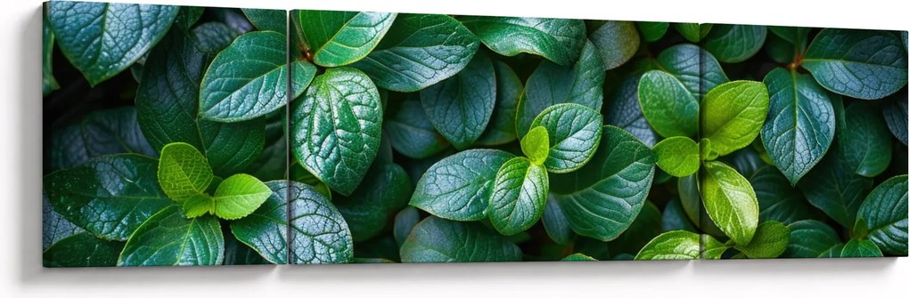 Obraz - Rośliny zielone (170x50 cm)