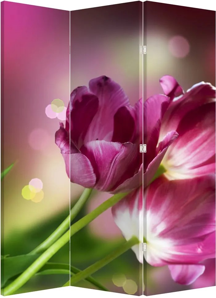 Parawan - Różowe tulipany (126x170 cm)