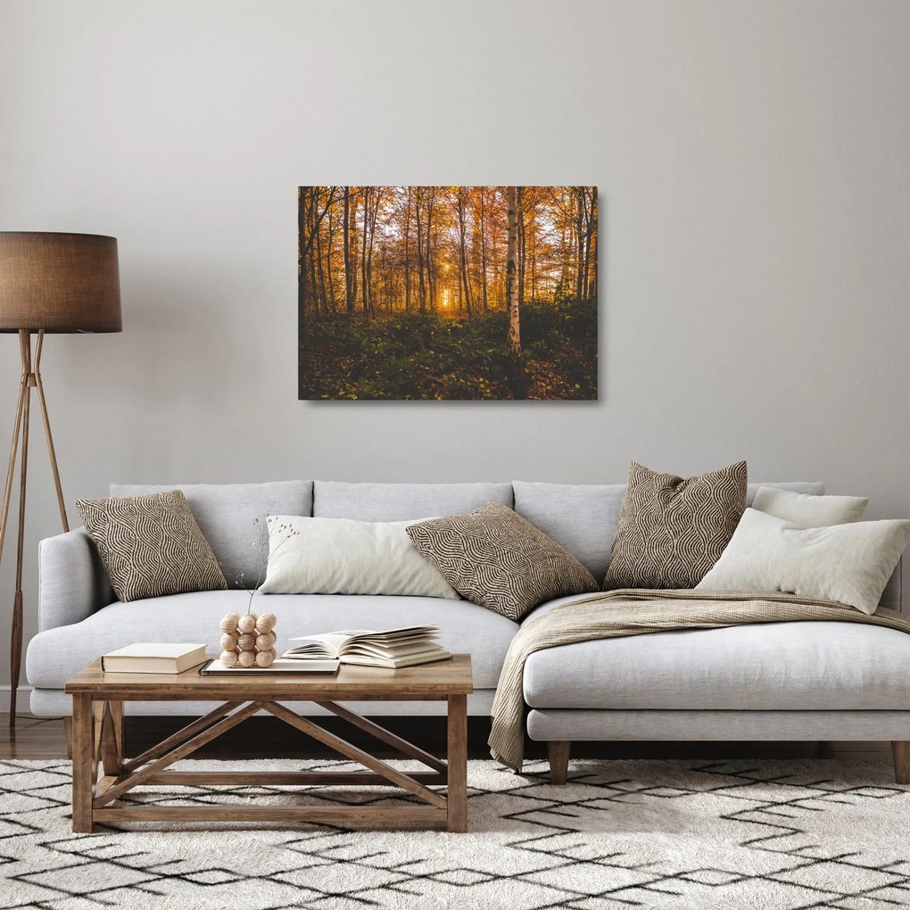Obraz na szkle jesiennego lasu (70x50 cm)