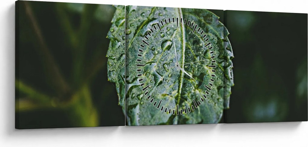 Obraz - krople na liściu (z zegarem) (90x30 cm)